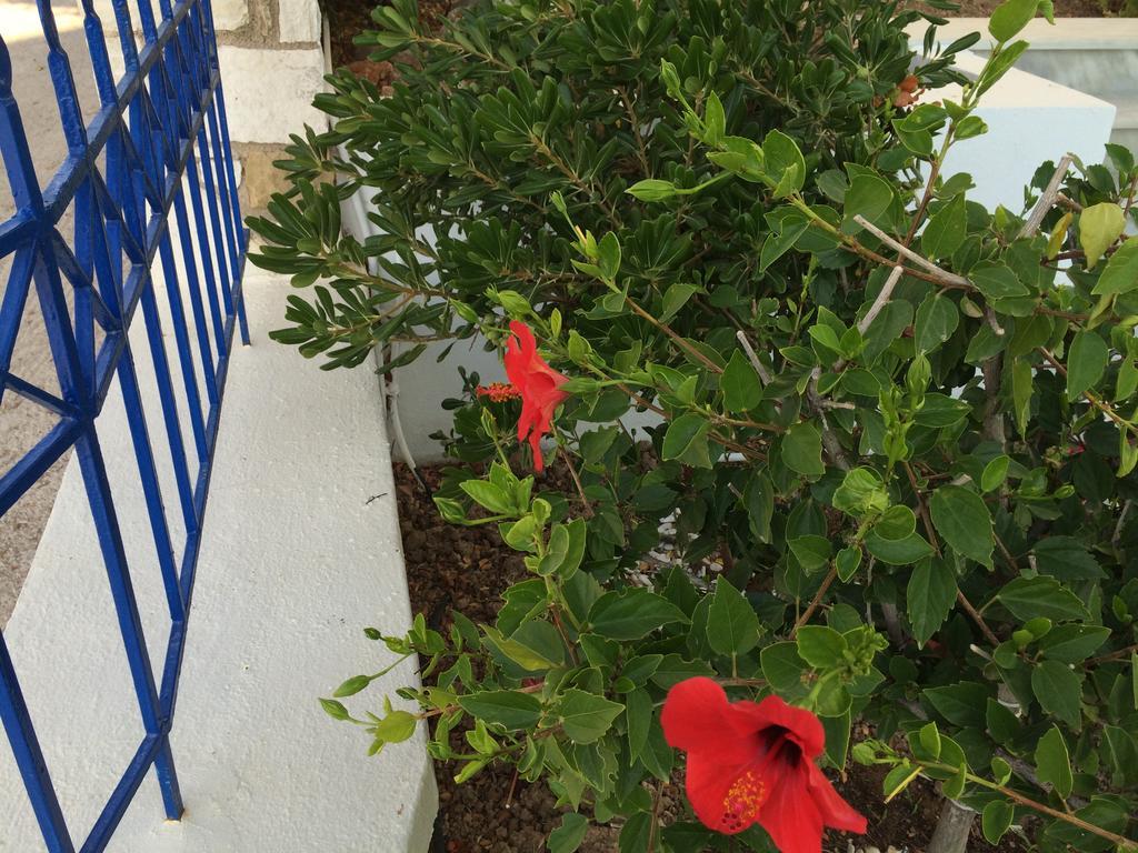 Sea Breeze Apartments Chios Monolia Eksteriør billede