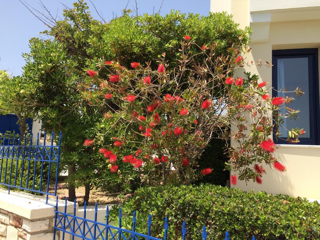 Sea Breeze Apartments Chios Monolia Eksteriør billede